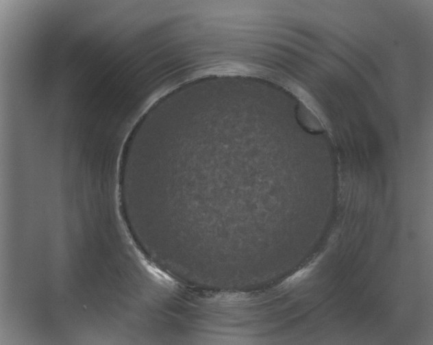 X0000071330845200606261245