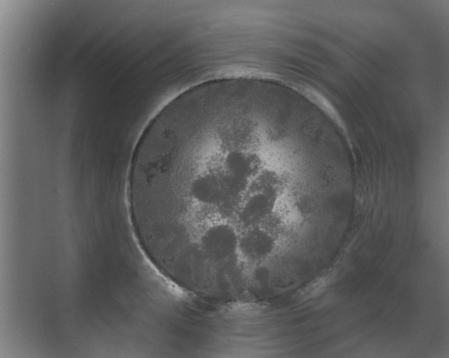 X0000071330847200606261245