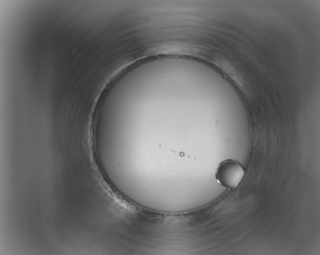 X0000071330848200606261245