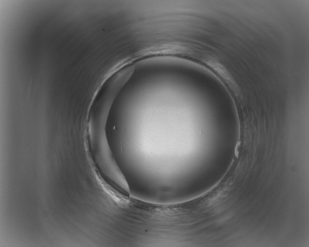 X0000071330850200606261245