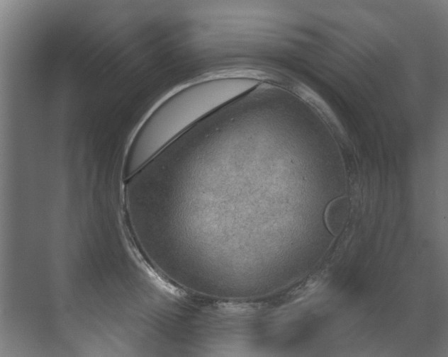 X0000071330852200606261245