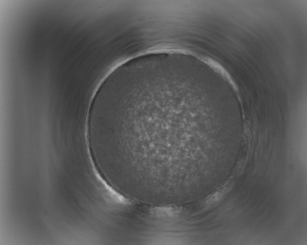 X0000071330855200606261245