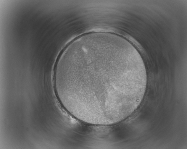 X0000071330856200606261245