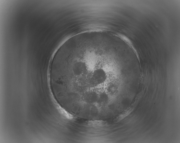 X0000071330859200606261245