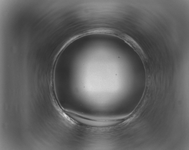 X0000071330860200606261245