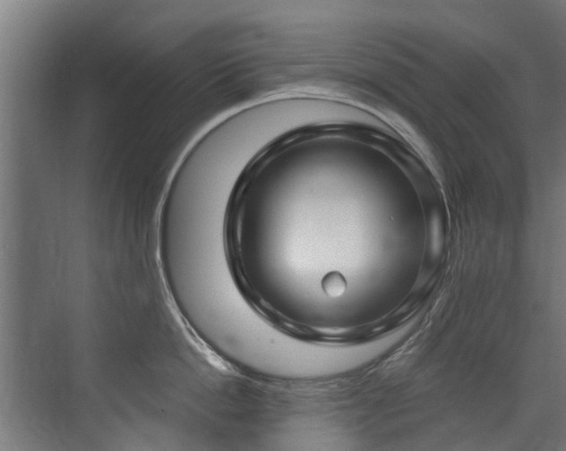 X0000071330862200606261245