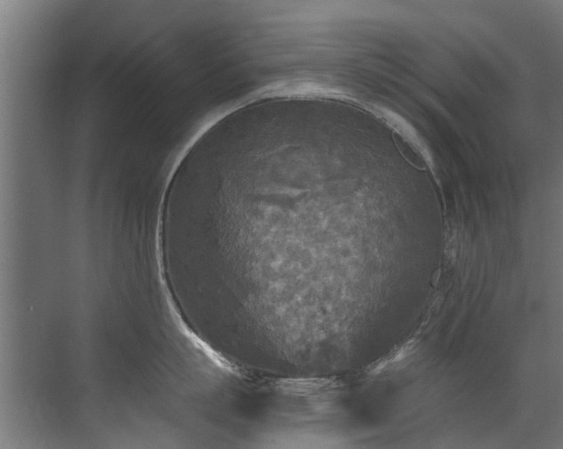 X0000071330863200606261245