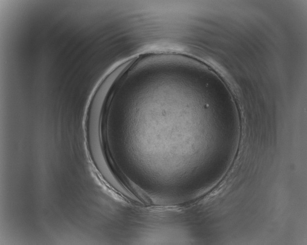 X0000071330864200606261245