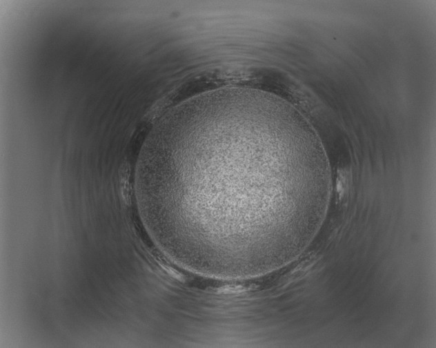 X0000071330867200606261244