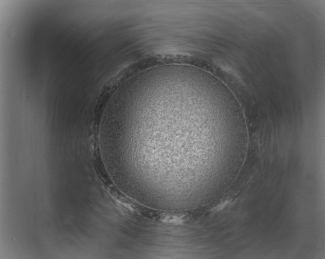 X0000071330870200606261244