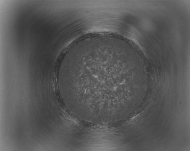 X0000071330871200606261244