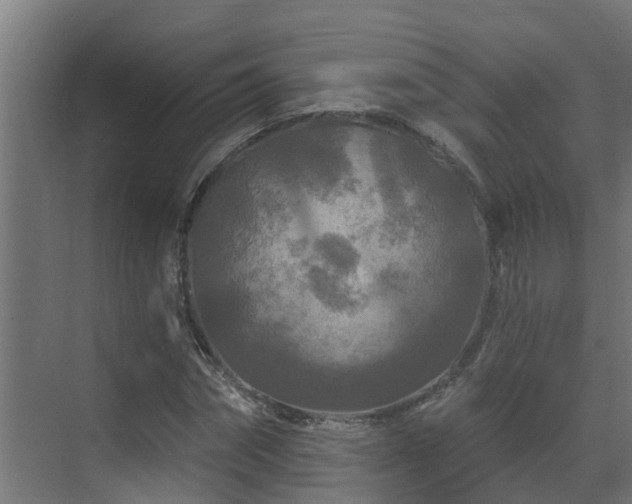 X0000071330874200606261244