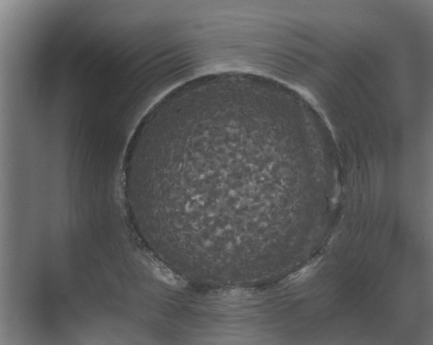 X0000071330879200606261244