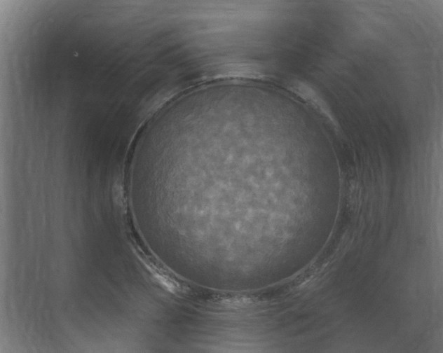 X0000071330882200606261244