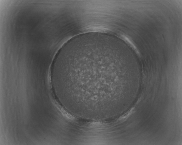 X0000071330883200606261244