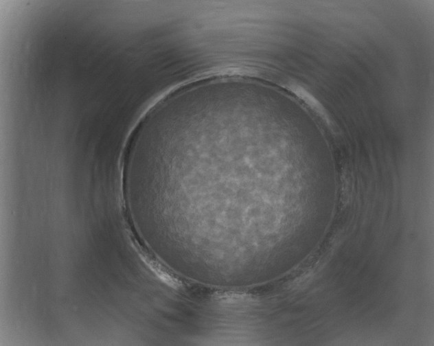 X0000071330886200606261244