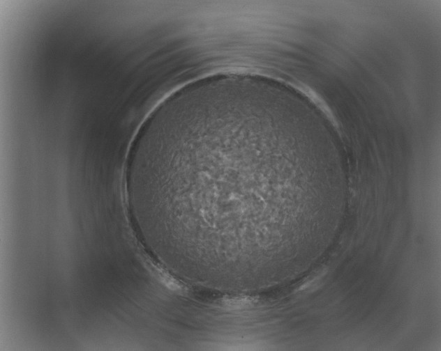 X0000071330887200606261244