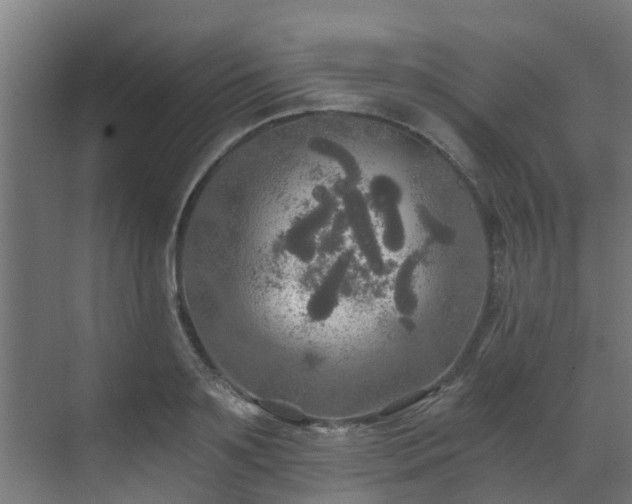 X0000071330891200606261244