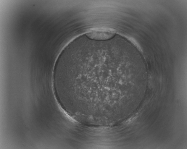 X0000071330895200606261244