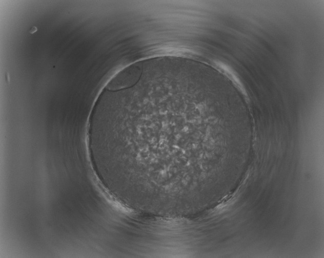 X0000071330899200606261243