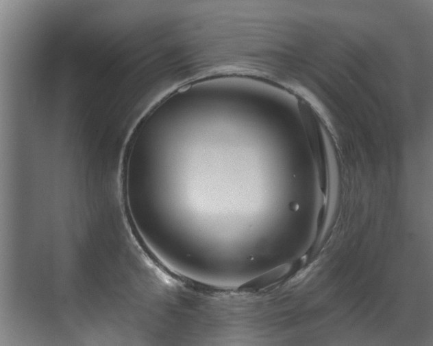 X0000071330902200606261243