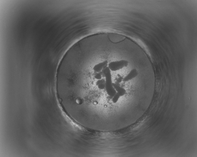 X0000071330903200606261243