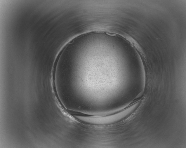 X0000071330904200606261243