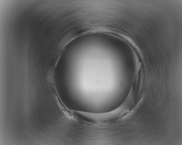 X0000071330905200606261243