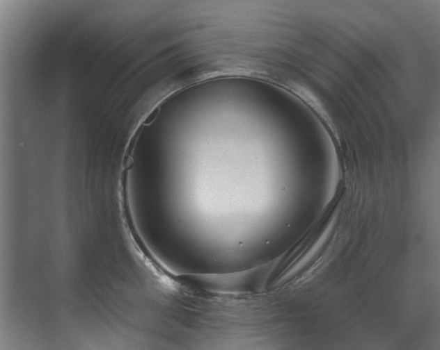 X0000071330906200606261243