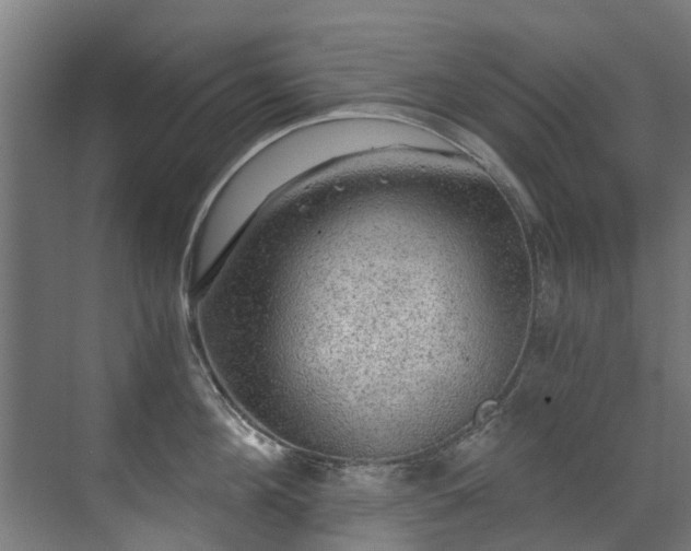 X0000071330908200606261243