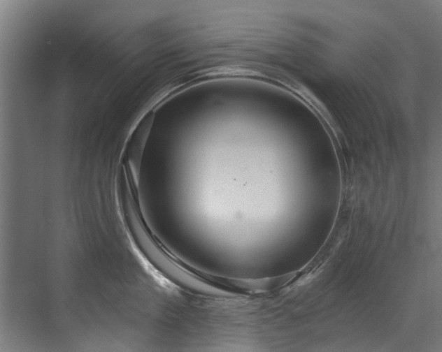 X0000071330909200606261243