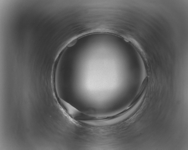 X0000071330910200606261243