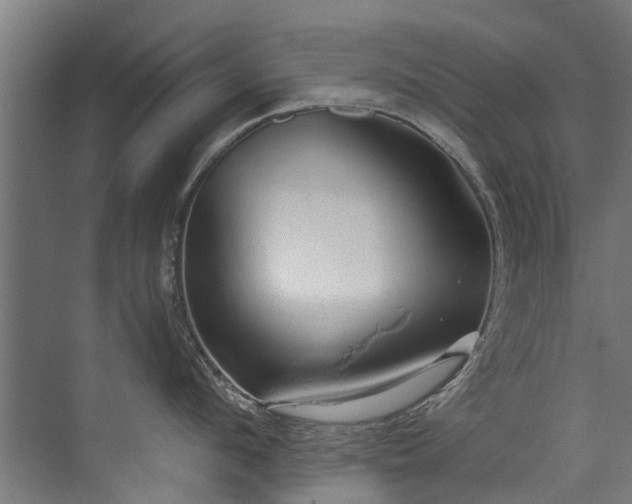 X0000071330912200606261243