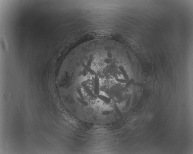 X0000071330913200606261242