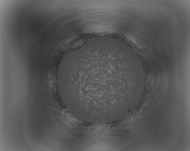 X0000071330917200606261243