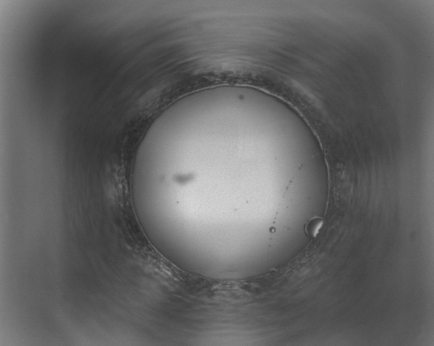 X0000071330918200606261243