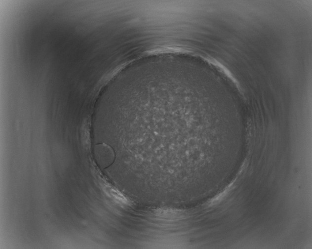 X0000071330921200606261243