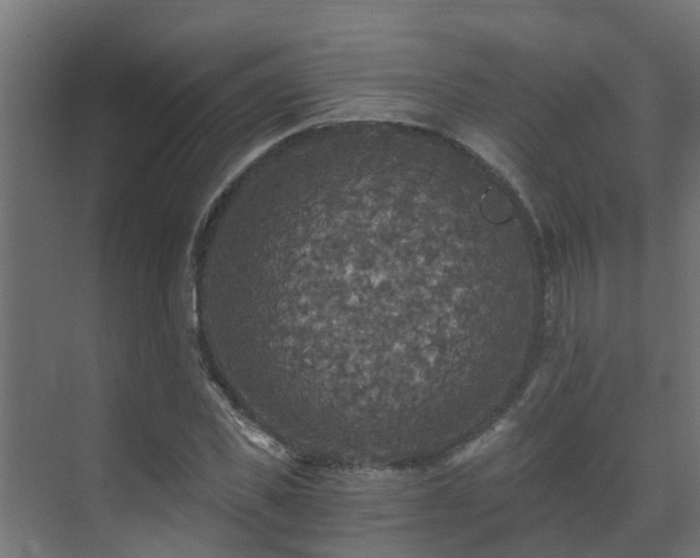 X0000071330925200606261243