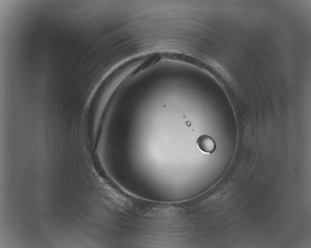 X0000071330926200606261243