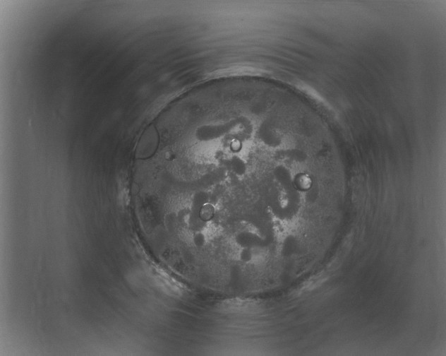 X0000071330929200606261243