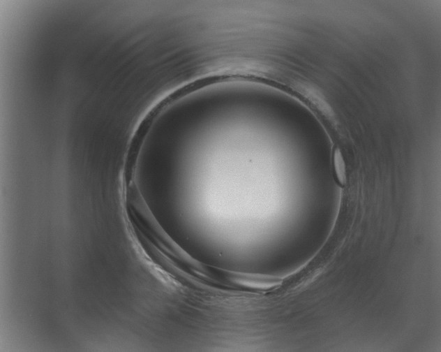 X0000071330936200606261243