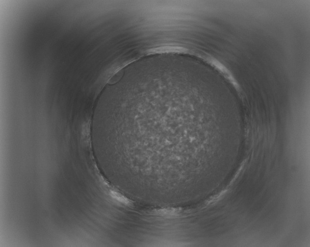 X0000071330937200606261243