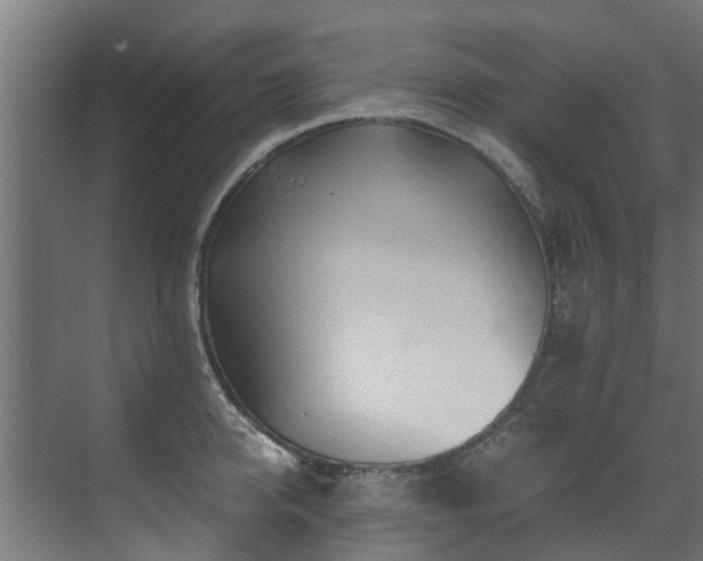 X0000071330950200606261243