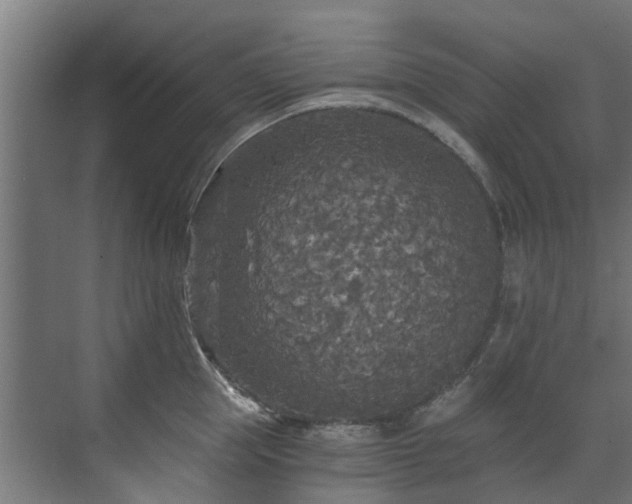 X0000071330953200606261243