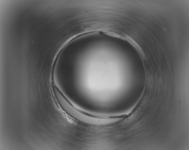 X0000071330956200606261243