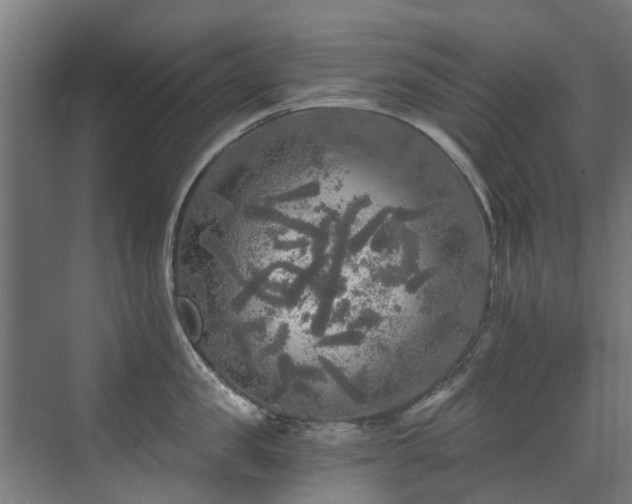 X0000071330957200606261243