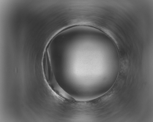 X0000071330959200606261243