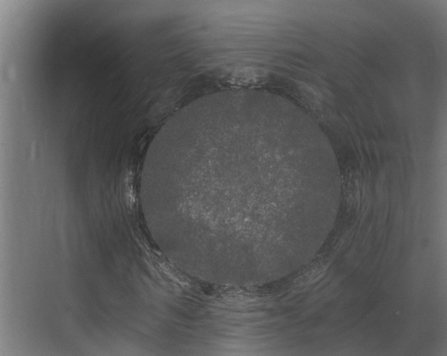 X0000071330962200606261242