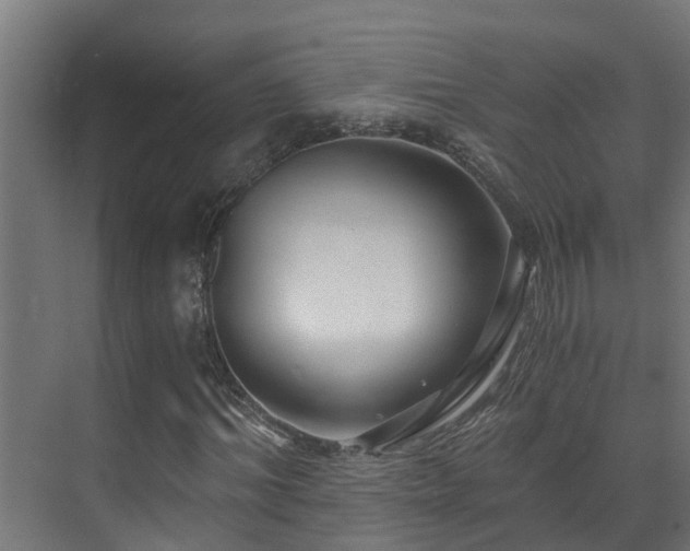 X0000071330964200606261242