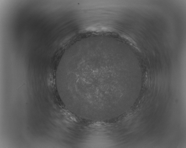 X0000071330966200606261242